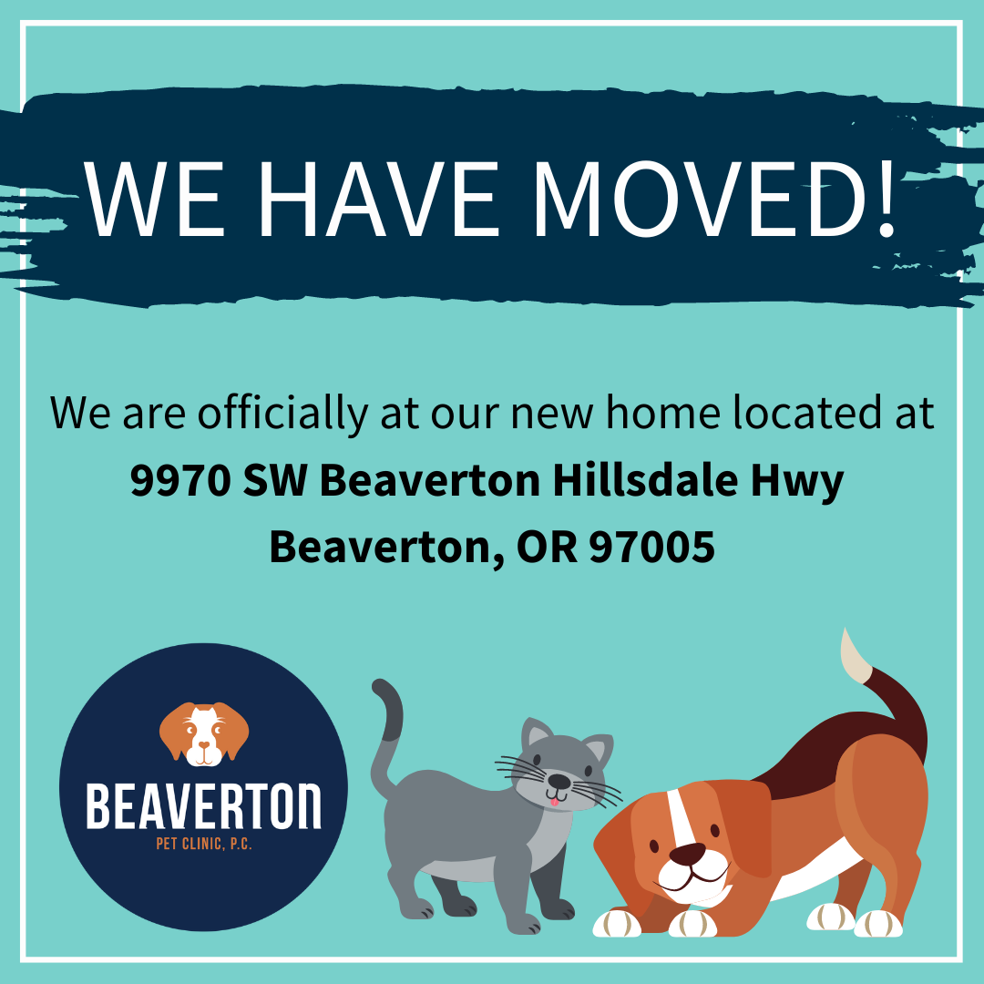 Thank You Beaverton Pet Clinic Thank You Beaverton Pet Clinic